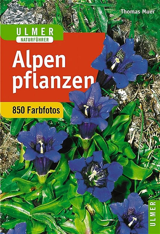 Ulmer Naturführer Alpenpflanzen