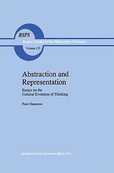 Abstraction and Representation