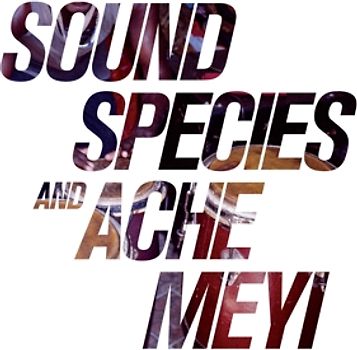 Soundspecies/Ache Meyi - Soundspecies & Ache Meyi