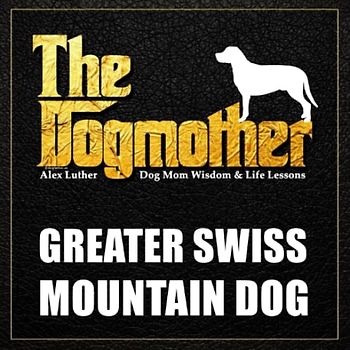 The Dogmother: Greater Swiss Mountain Dog: (Dog Mom Wisdom & Life Lessons)