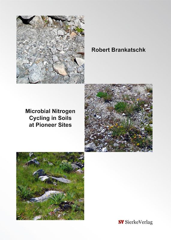 Microbial Nitrogen Cycling in Soils at Pioneer Sites