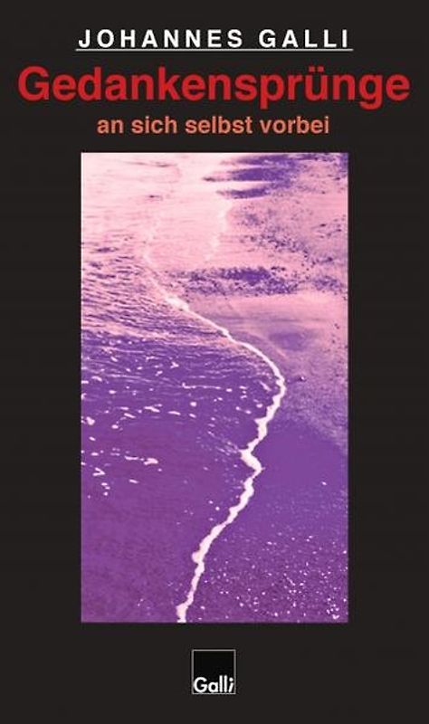 Gedankensprünge an sich selbst vorbei (Band 4)