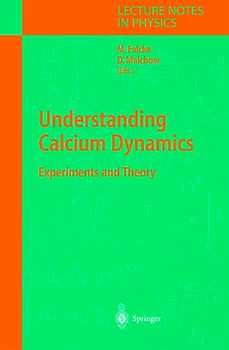 Understanding Calcium Dynamics