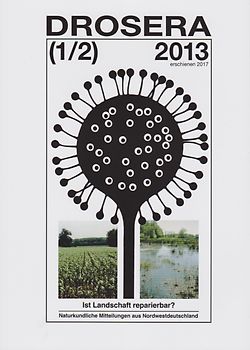 Ist Landschaft reparierbar?