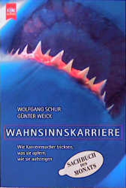 Wahnsinnskarriere