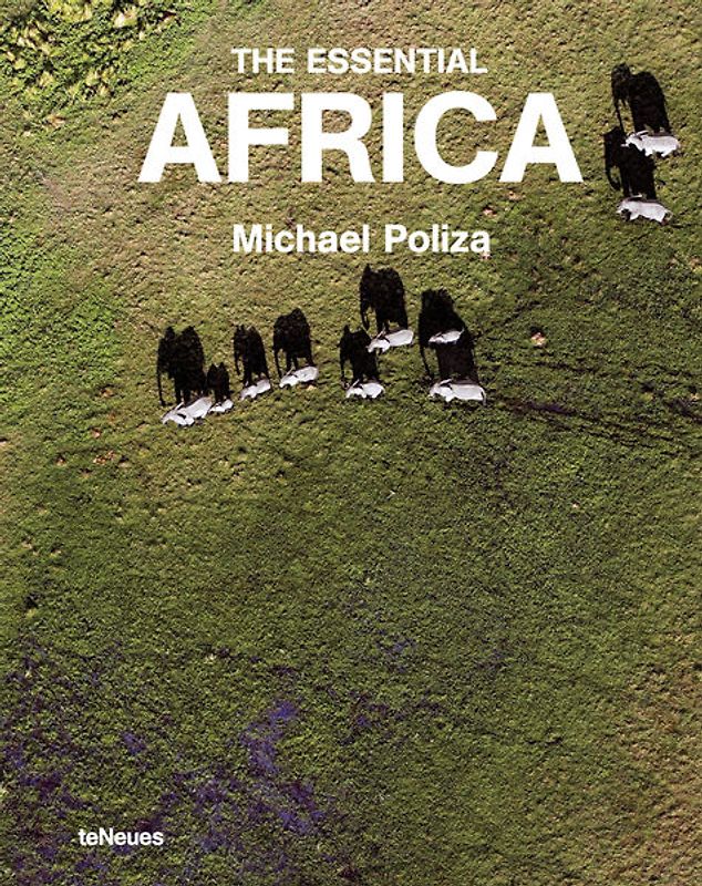 The Essential Africa