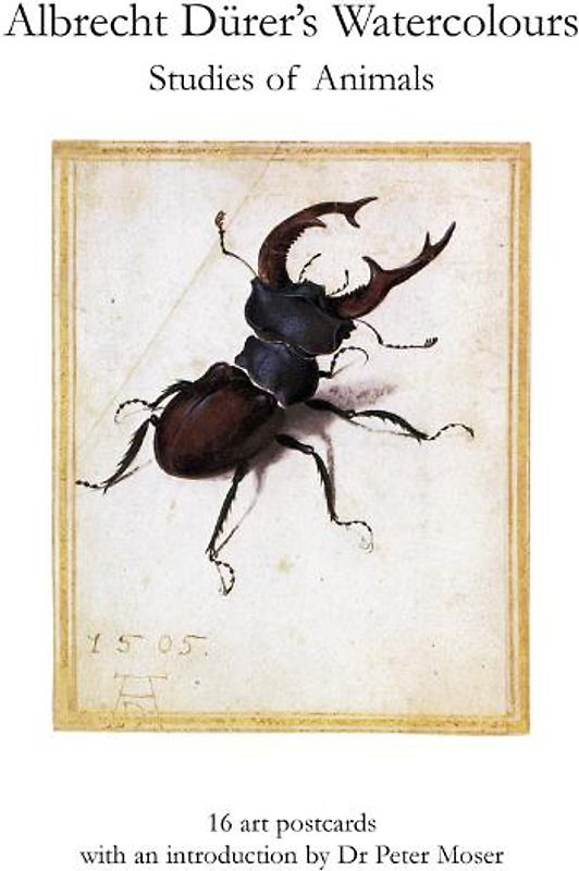 Albrecht Dürer´s Watercolours, Studies of Animals