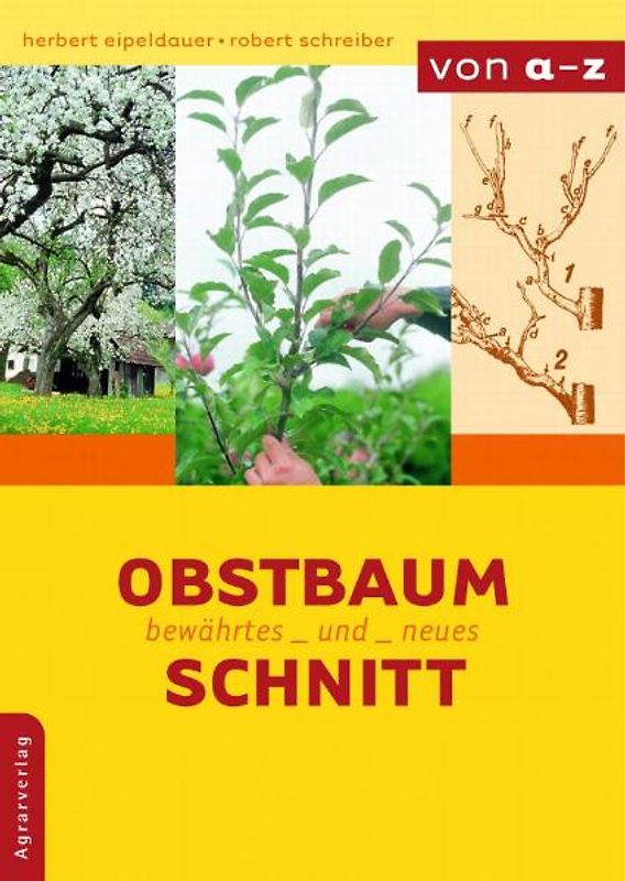 Obstbaumschnitt