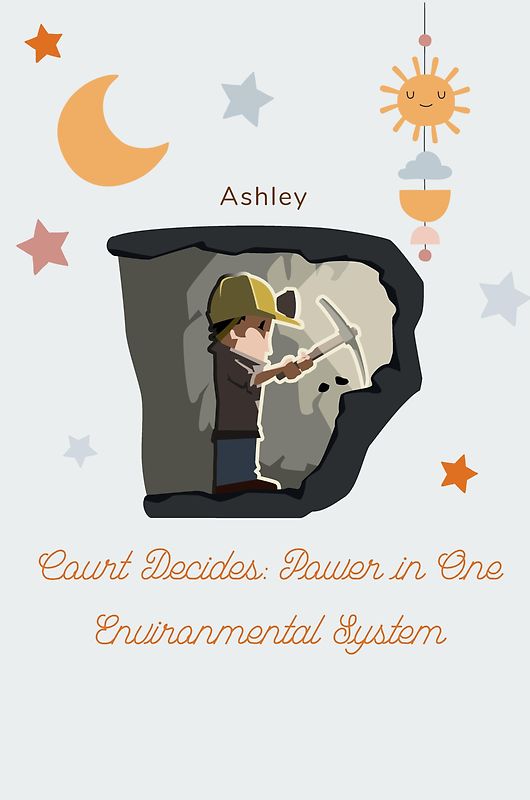 Court Decides: Power in One Environmental System