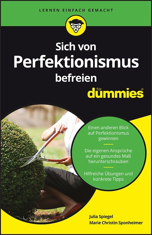Sich von Perfektionismus befreien für Dummies