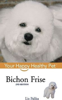 Bichon Frise
