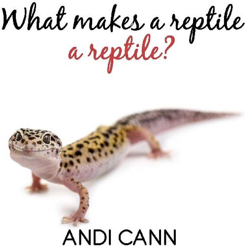 What Makes a Reptile a Reptile