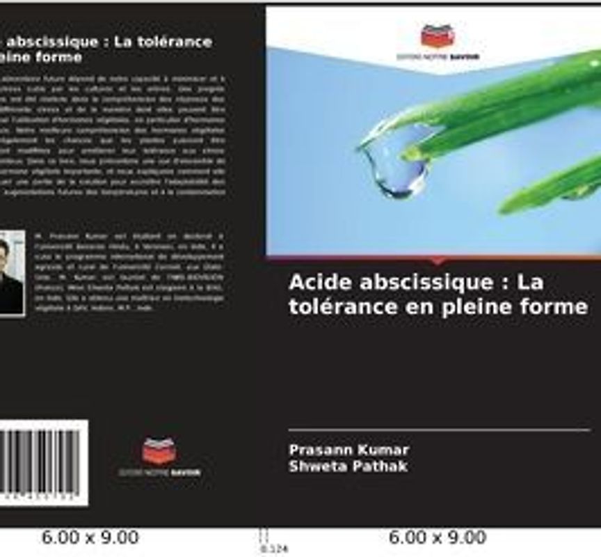 Acide abscissique : La tolérance en pleine forme