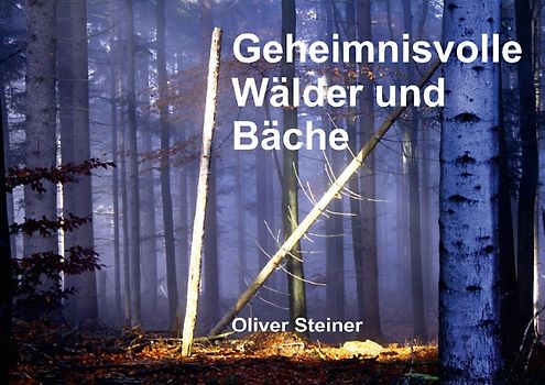 Geheimnisvolle Wälder und Bäche (Posterbuch DIN A2 quer)