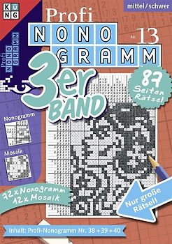 Profi-Nonogramm 3er-Band Nr. 13