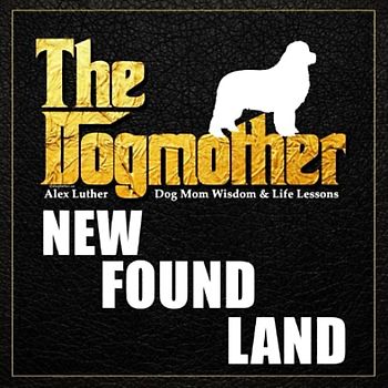 The Dogmother: Newfoundland: (Dog Mom Wisdom & Life Lessons)