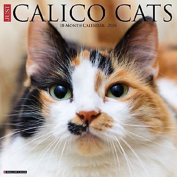 Calico Cats 2026 12 X 12 Wall Calendar