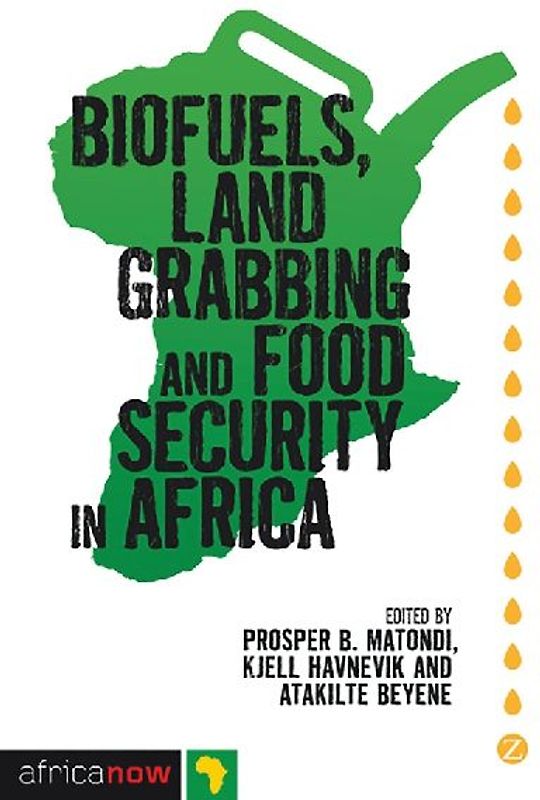 Biofuels, Land Grabbing and Food Security in Africa