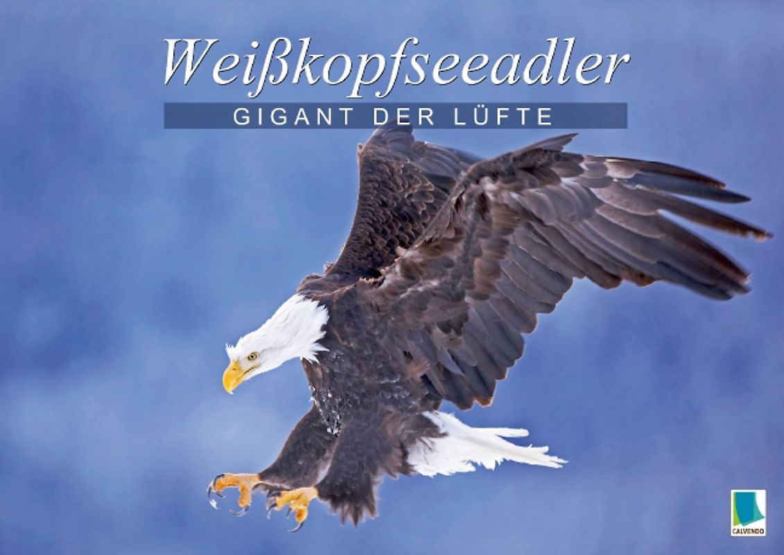 Gigant der Lüfte: Weißkopfseeadler (Posterbuch DIN A2 quer)