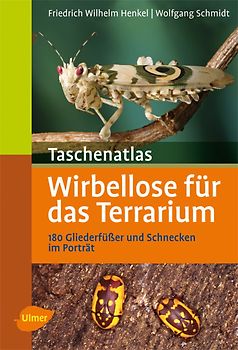Wirbellose für das Terrarium