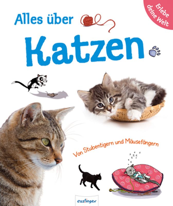 Erlebe deine Welt: Alles über Katzen, Erlebe deine Welt