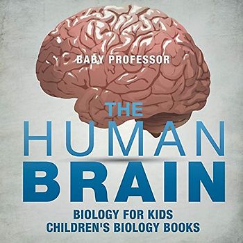 The Human Brain - Biology for Kids Children's Biology Books
