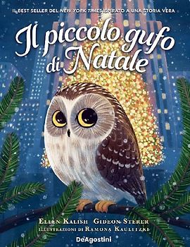 Il piccolo gufo di Natale