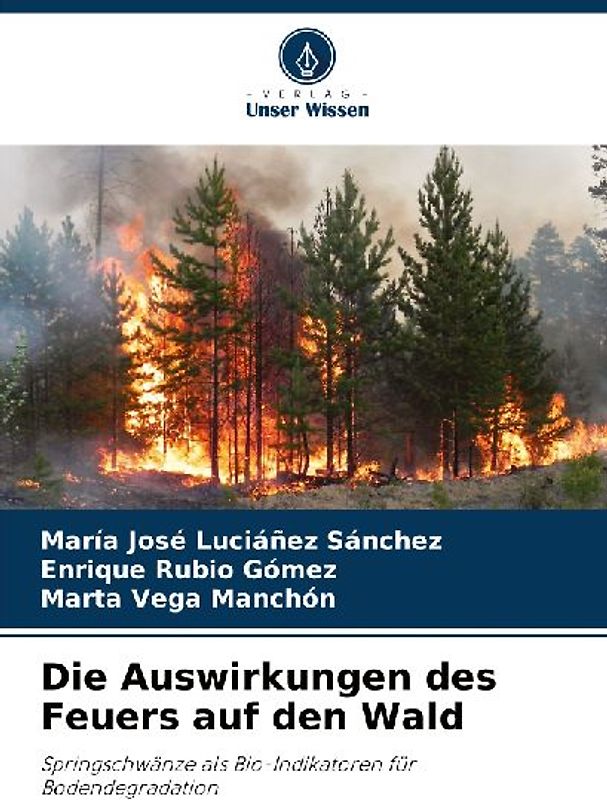 Die Auswirkungen des Feuers auf den Wald