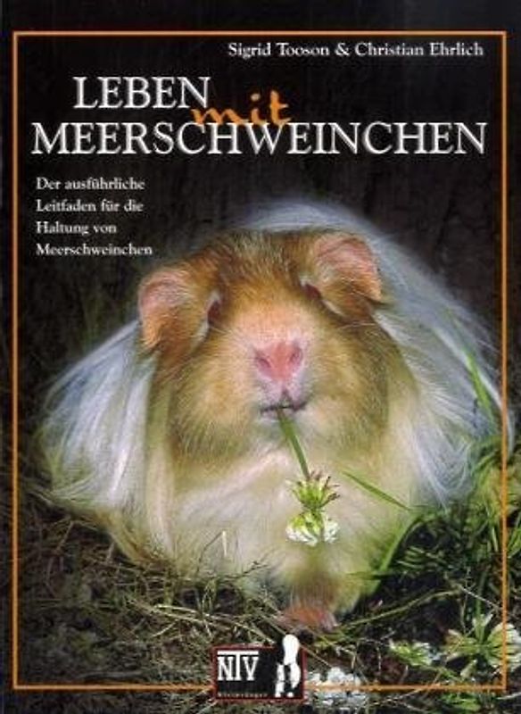 Leben mit Meerschweinchen - Cavia aparea f. porcellus