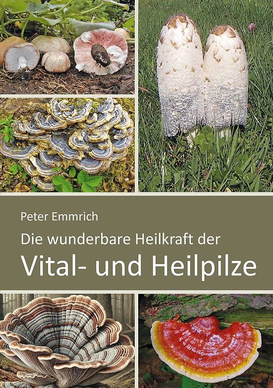 Die wunderbare Heilkraft der Vital- und Heilpilze