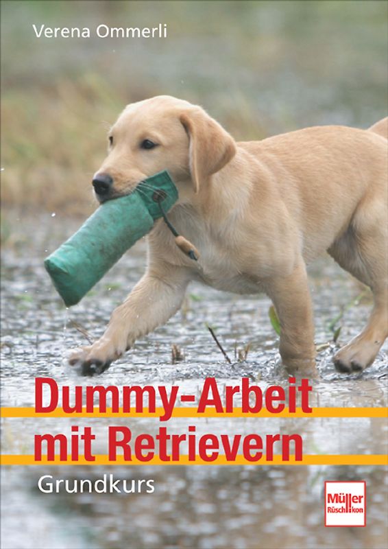 Dummy-Arbeit mit Retrievern