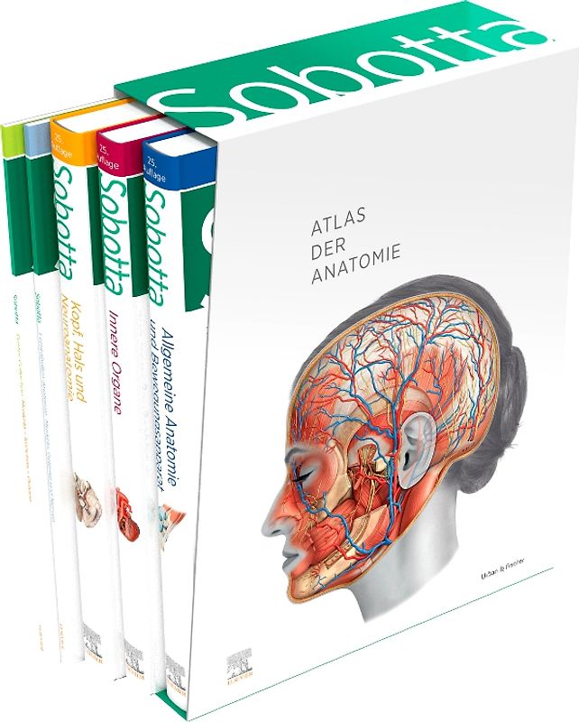 Sobotta Atlas der Anatomie, 3 Bände + Lerntabellen + Poster Collection im Schuber und 6-monatiger Zugang zur Complete Anatomy-App