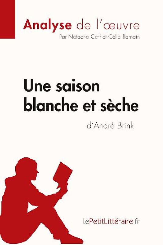 Une saison blanche et sèche d'André Brink (Analyse de l'oeuvre)