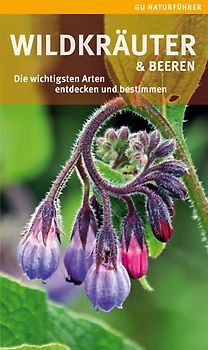 Wildkräuter und Beeren
