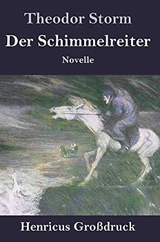 Der Schimmelreiter (Großdruck): Novelle