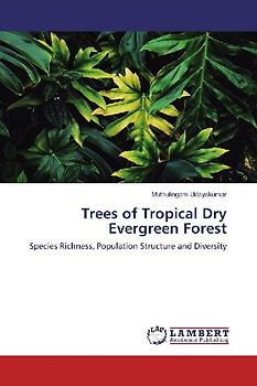 Trees of Tropical Dry Evergreen Forest