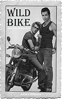 Wild Bike: 30s Gay Romance (TGSB, Band 2)