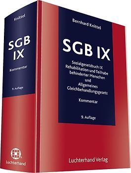 SGB IX