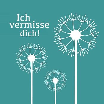 Ich vermisse dich!: Trauertagebuch und Erinnerungsbuch zur Hilfe bei Trauer und Verlust