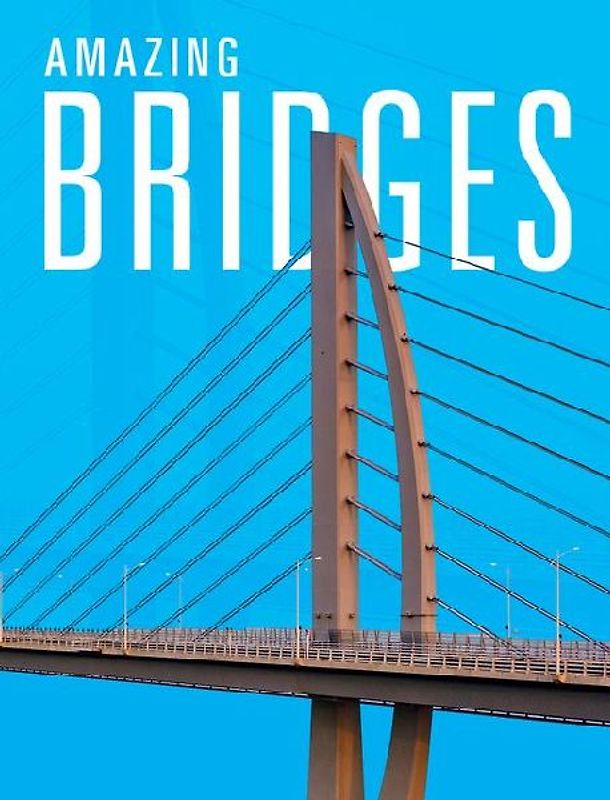 Amazing Bridges