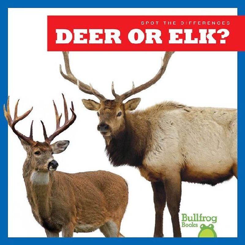 Deer or Elk?