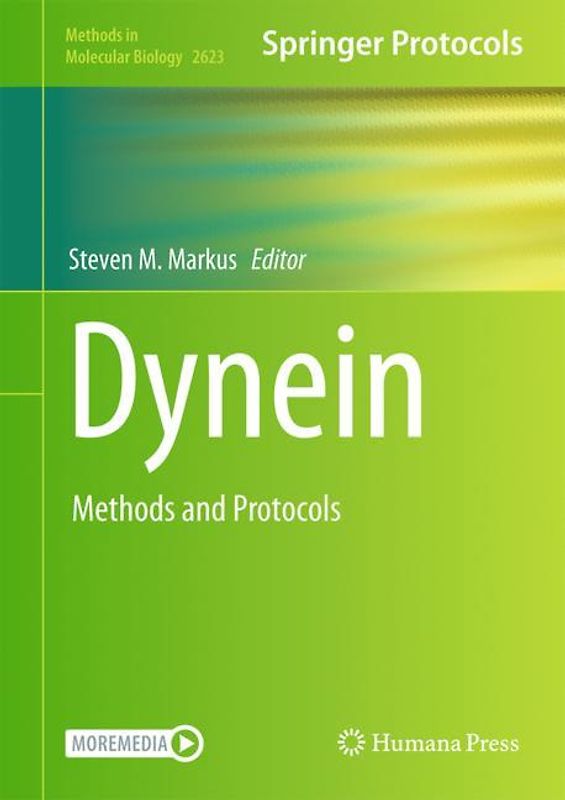 Dynein