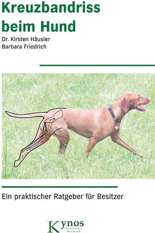 Kreuzbandriss beim Hund