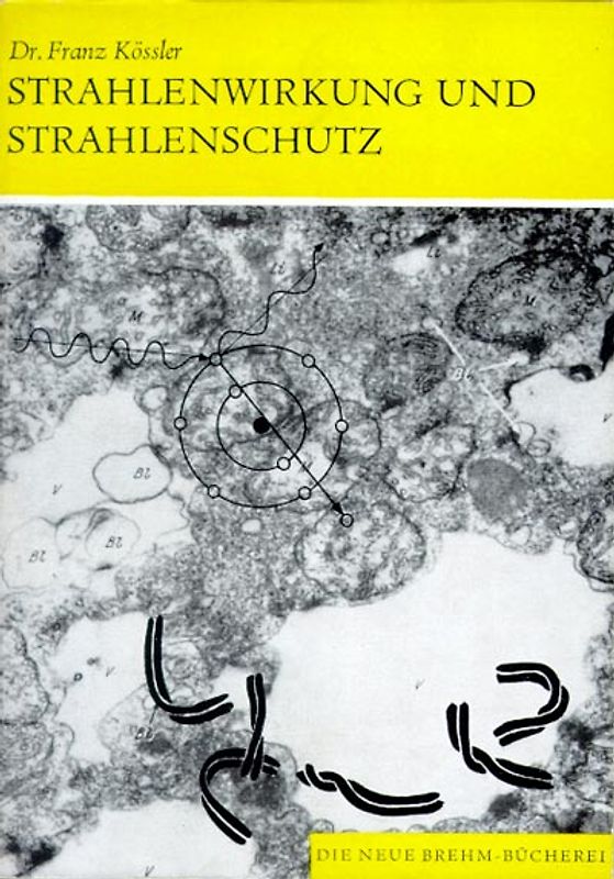 Strahlenwirkung und Strahlenschutz