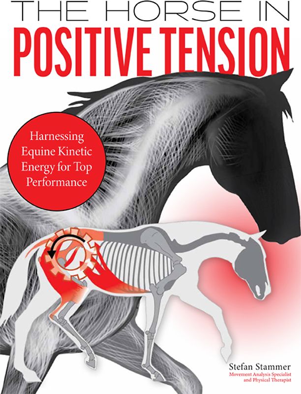 The Horse in Positive Tension