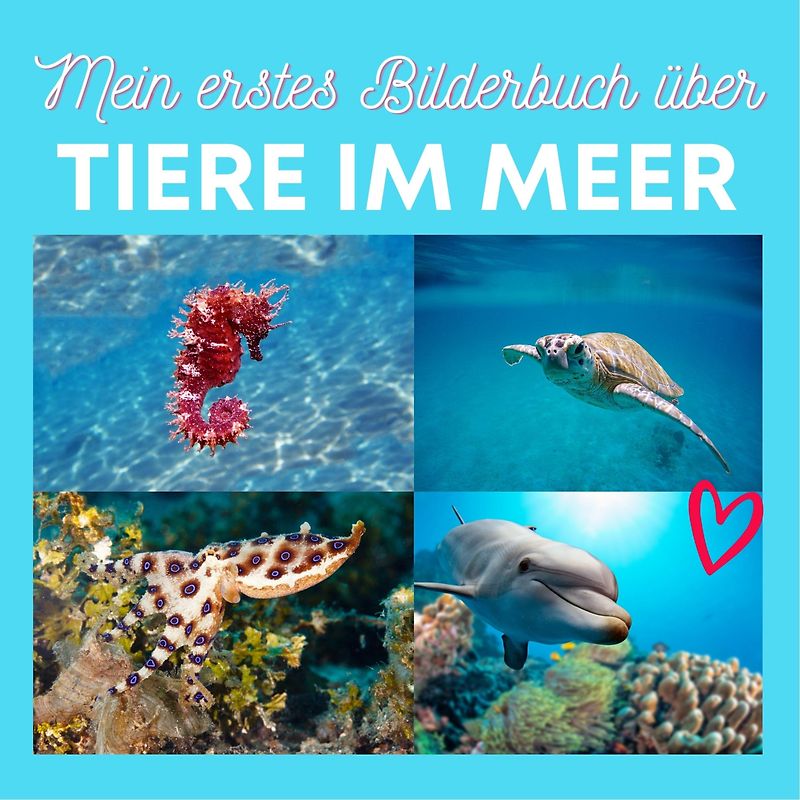 Mein erstes Bilderbuch über