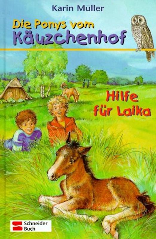 Die Ponys vom Käuzchenhof