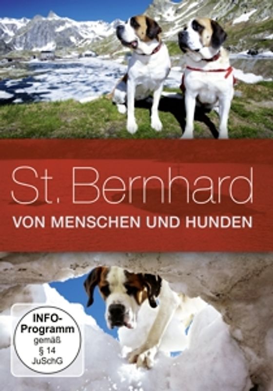 St. Bernhard - Von Menschen und Hunden DVD