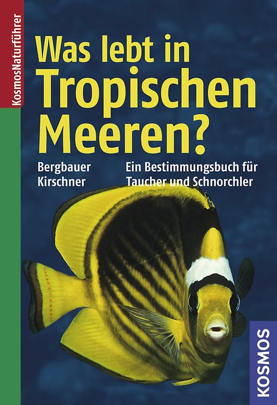 Was lebt in tropischen Meeren?