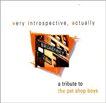 Various - Very introspective, actually - a Pet Shop Boys Tribute